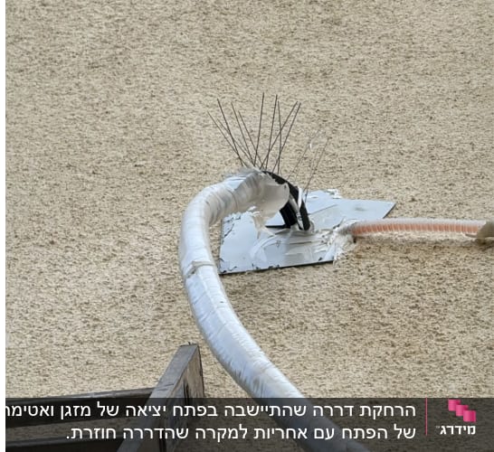 התקנת דוקרנים נגד יונים סביב צנרת מזגן בקיר חיצוני